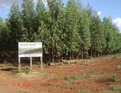 Home For Sale in Tocantins, Brazil