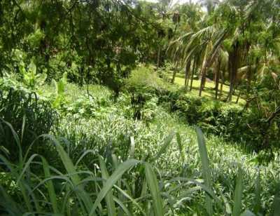 Residential Land For Sale in Ilhabela, Brazil