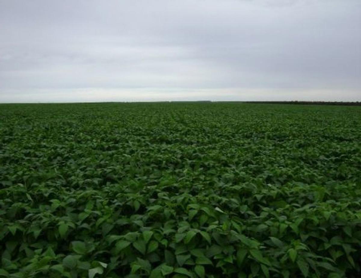 Picture of Home For Sale in Piaui, Piaui, Brazil