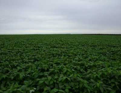 Home For Sale in Piaui, Brazil