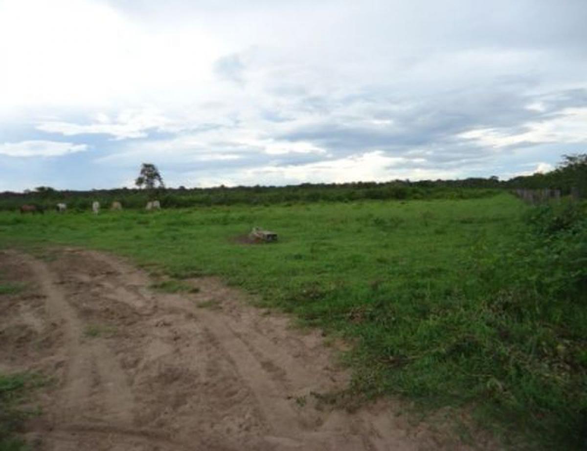 Picture of Home For Sale in Mato Grosso, Mato Grosso, Brazil