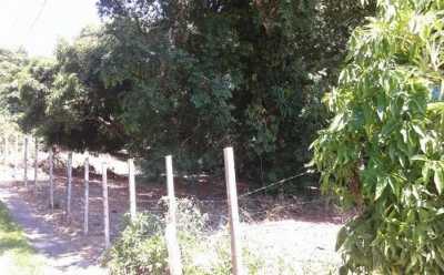 Residential Land For Sale in Ilhabela, Brazil