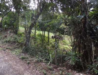 Other Commercial For Sale in Santa Catarina, Brazil