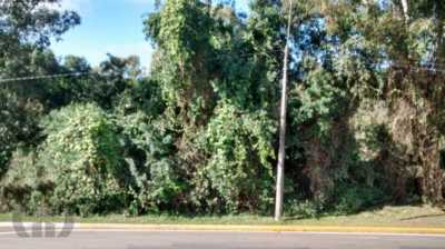 Residential Land For Sale in Caxias Do Sul, Brazil