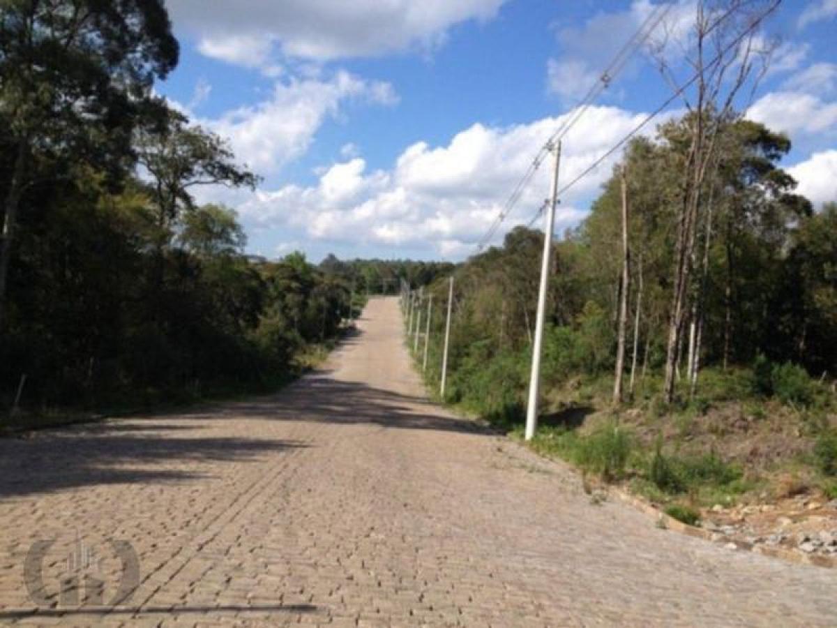 Picture of Residential Land For Sale in Caxias Do Sul, Rio Grande do Sul, Brazil