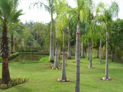 Other Commercial For Sale in Sorocaba, Brazil