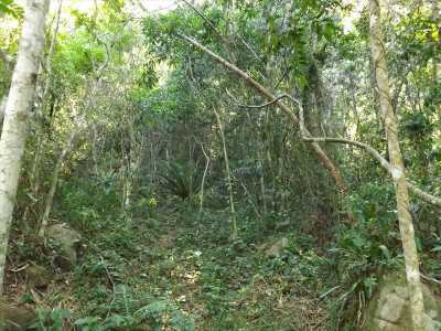 Other Commercial For Sale in Santa Catarina, Brazil