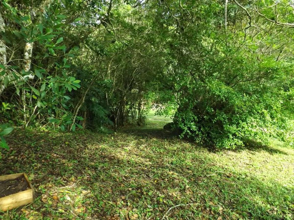 Picture of Other Commercial For Sale in Florianopolis, Santa Catarina, Brazil