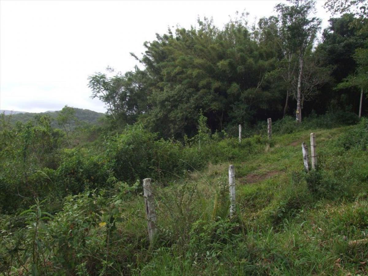 Picture of Other Commercial For Sale in Santa Catarina, Santa Catarina, Brazil