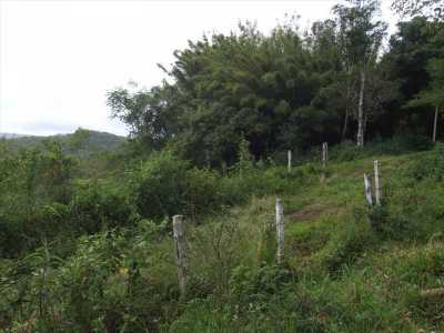 Other Commercial For Sale in Santa Catarina, Brazil