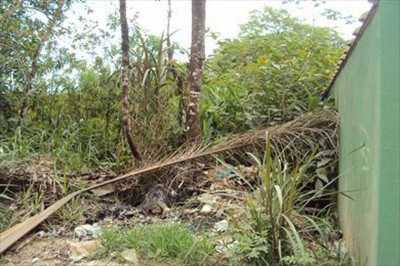 Other Commercial For Sale in Mongagua, Brazil