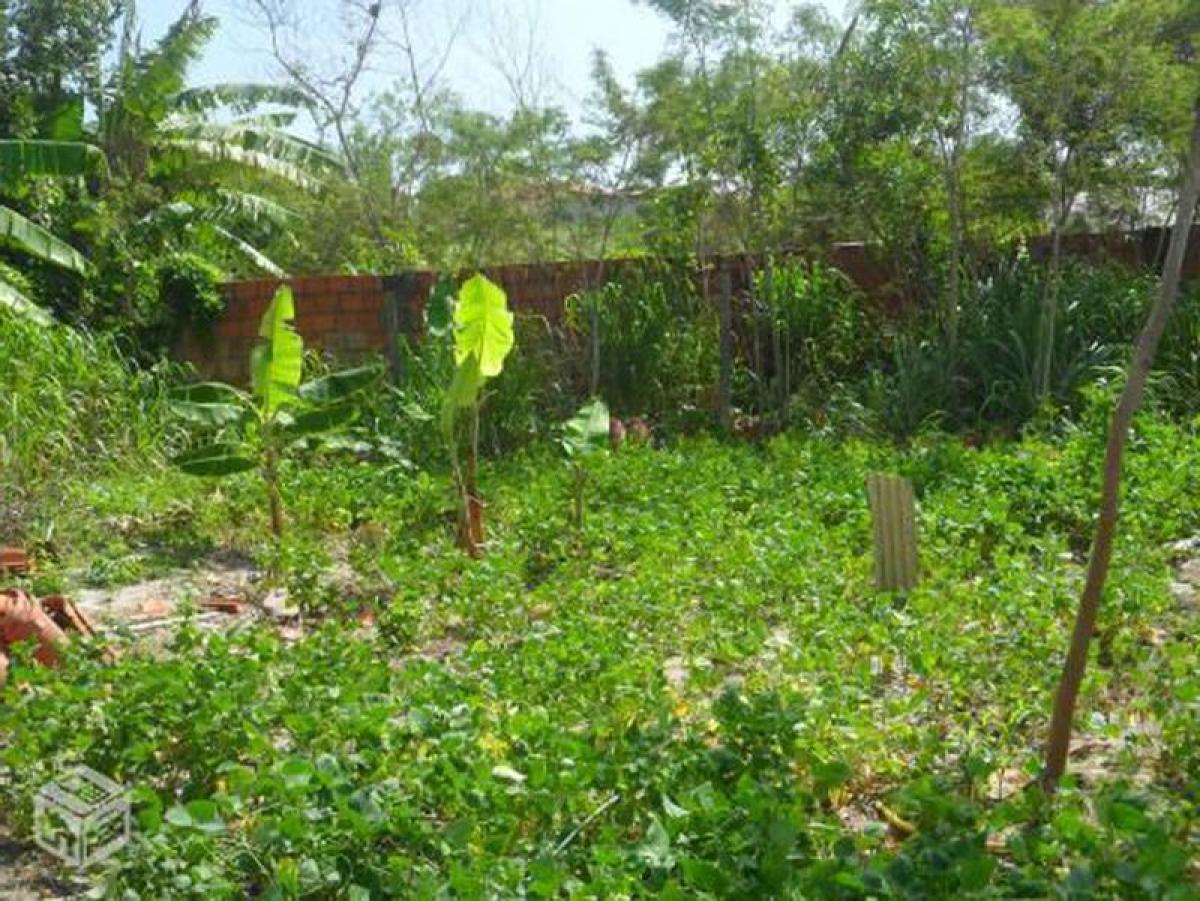 Picture of Residential Land For Sale in Salvador, Bahia, Brazil