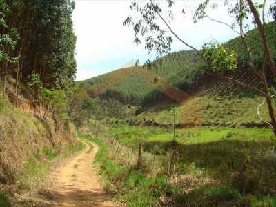 Farm For Sale in RedenÃ§ao Da Serra, Brazil