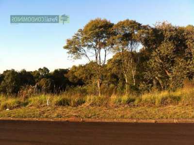 Residential Land For Sale in Quatro Barras, Brazil