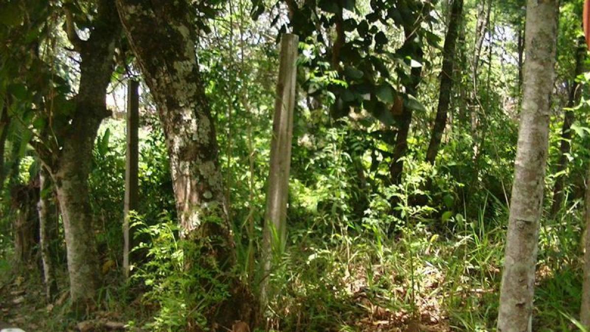 Picture of Residential Land For Sale in Carapicuiba, Sao Paulo, Brazil