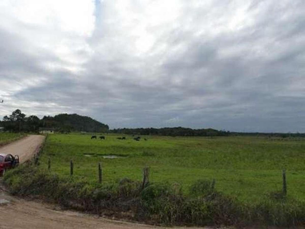 Picture of Farm For Sale in Barra Velha, Santa Catarina, Brazil