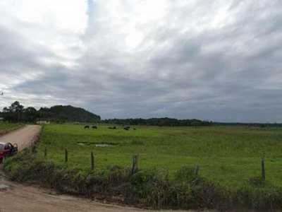 Farm For Sale in Barra Velha, Brazil
