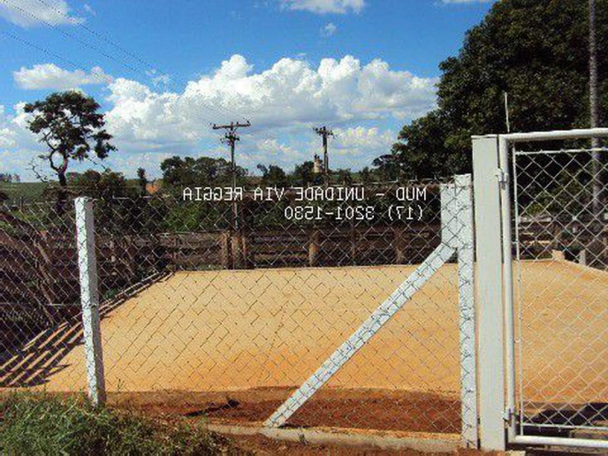 Picture of Farm For Sale in Ipigua, Sao Paulo, Brazil