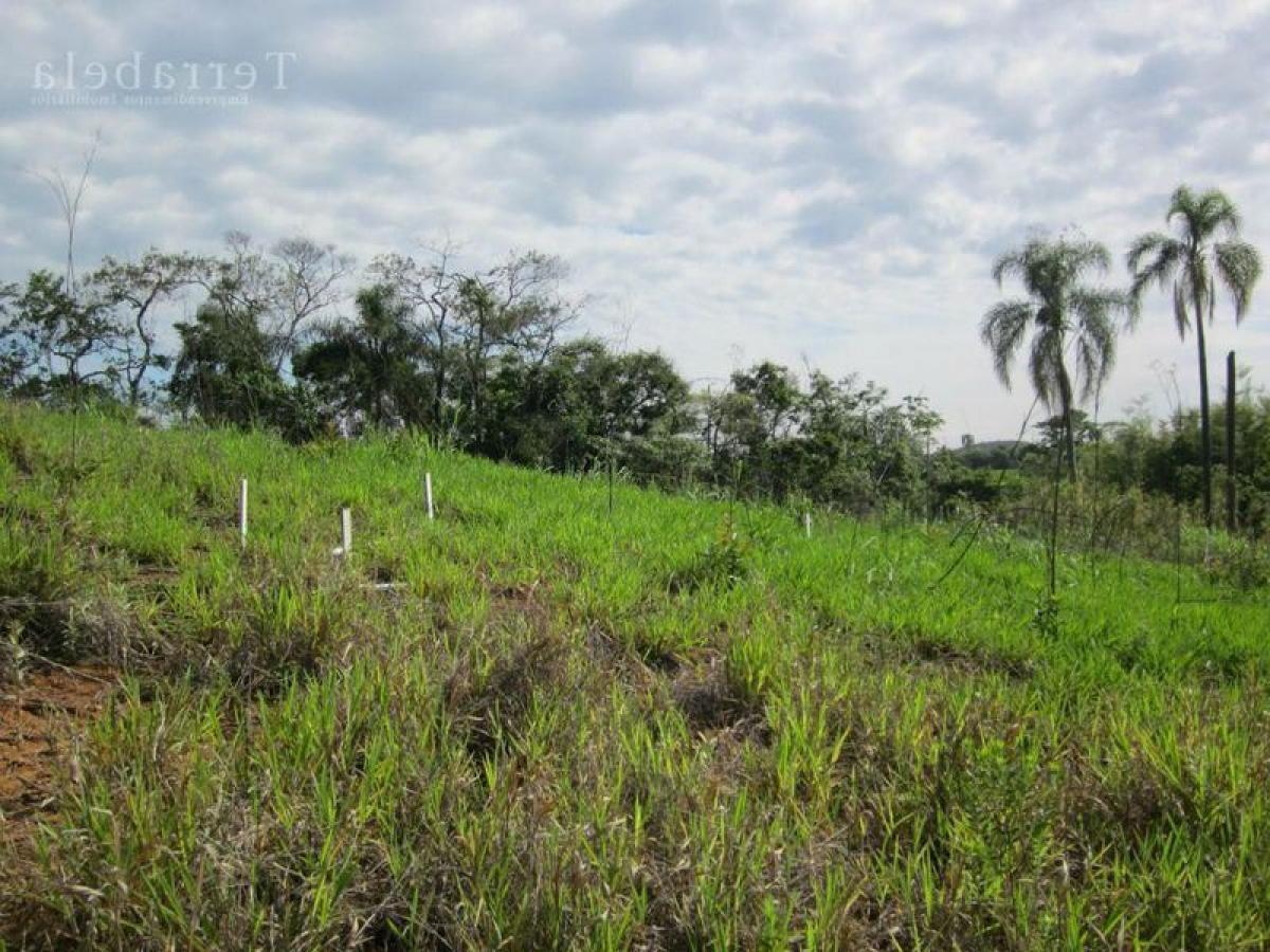 Picture of Residential Land For Sale in Guararema, Sao Paulo, Brazil