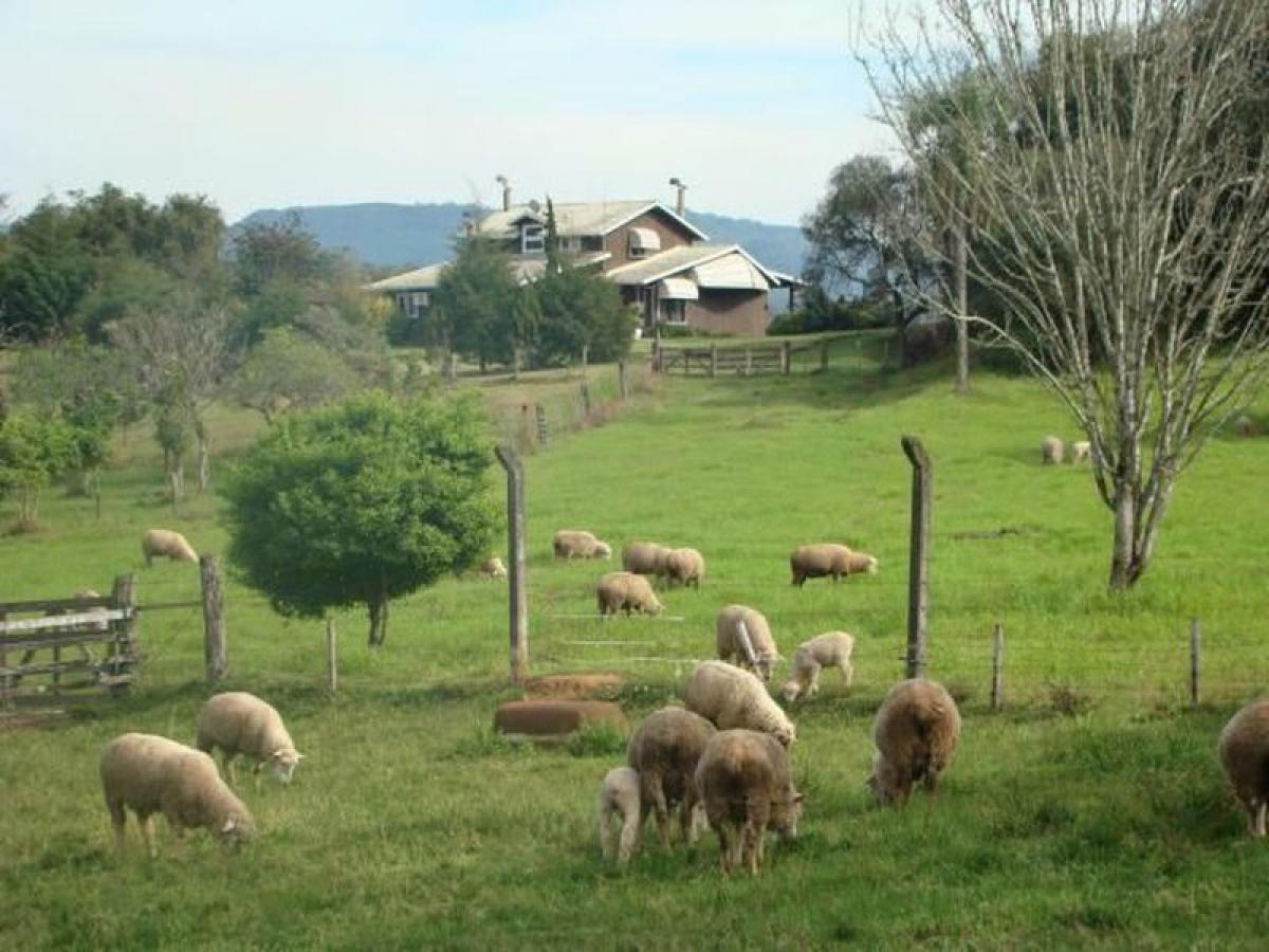 Picture of Farm For Sale in Ivoti, Rio Grande do Sul, Brazil