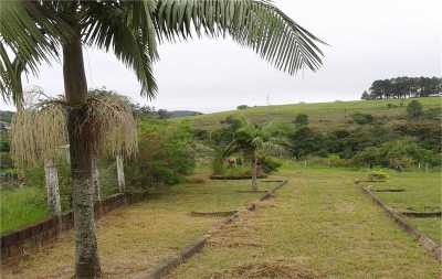 Residential Land For Sale in Viamao, Brazil