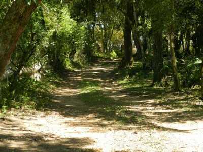 Residential Land For Sale in Viamao, Brazil