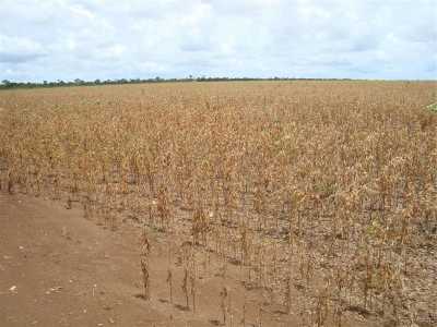 Farm For Sale in Maranhao, Brazil