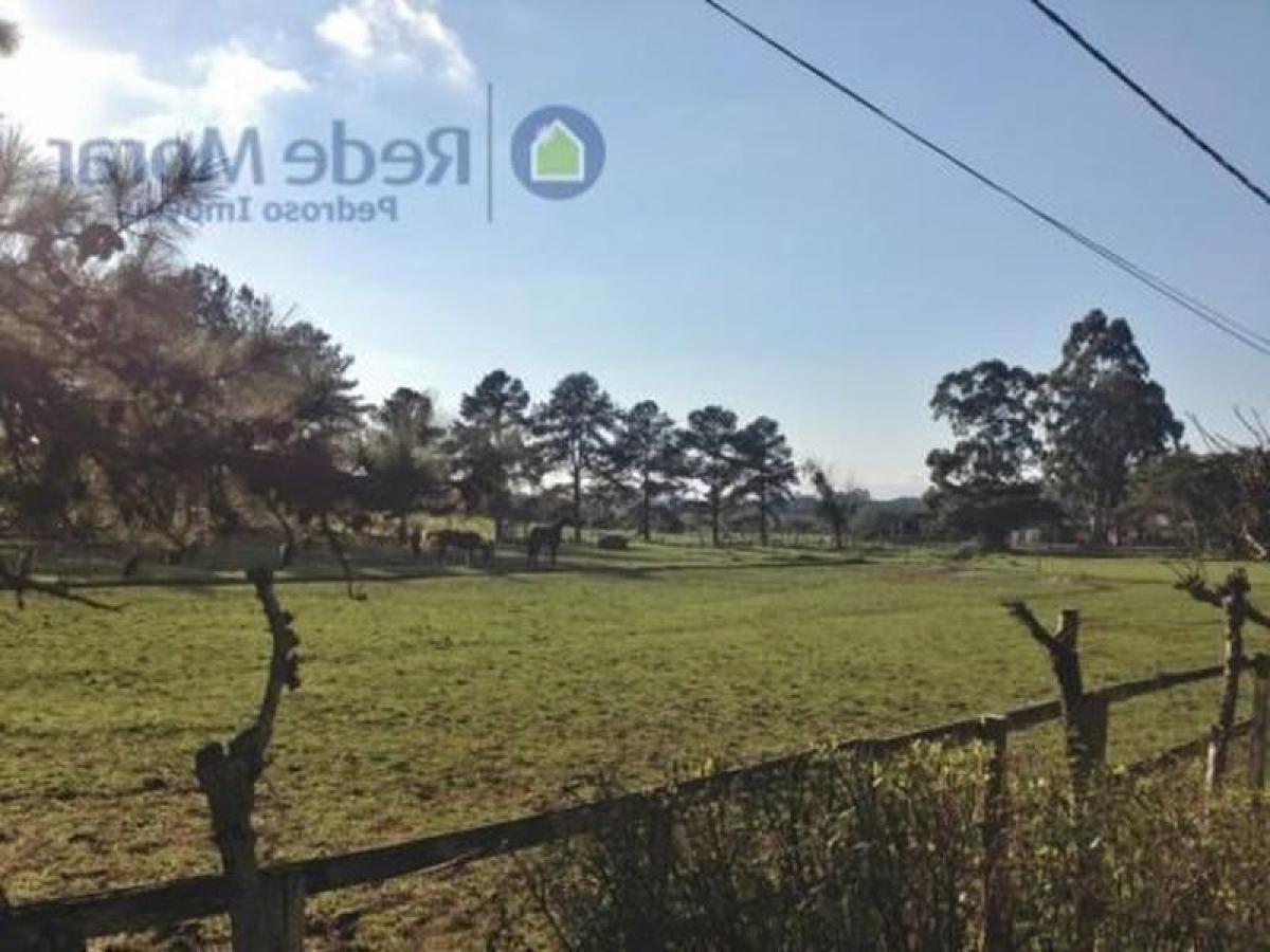 Picture of Farm For Sale in Porto Alegre, Rio Grande do Sul, Brazil