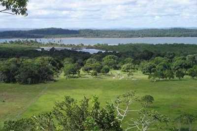 Residential Land For Sale in Itacare, Brazil
