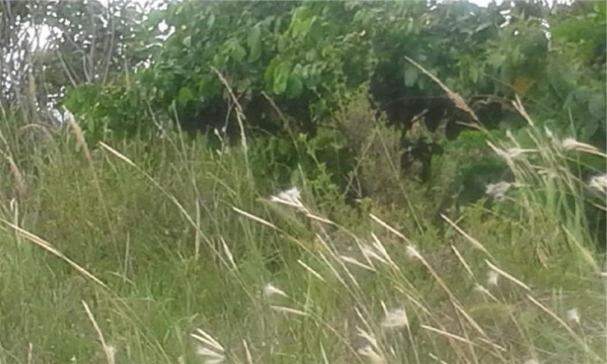 Picture of Residential Land For Sale in Paraiba, Paraiba, Brazil