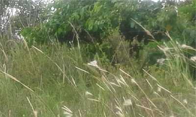 Residential Land For Sale in Paraiba, Brazil