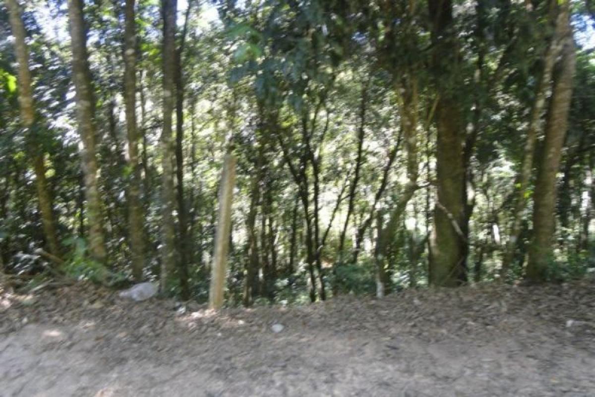 Picture of Commercial Building For Sale in Minas Gerais, Minas Gerais, Brazil