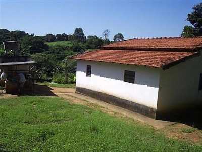 Farm For Sale in Sao Paulo, Brazil