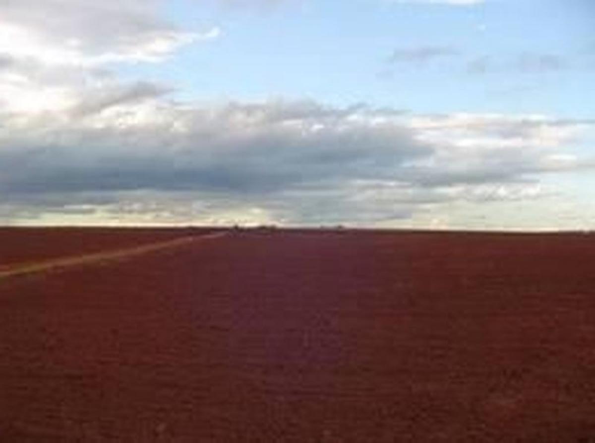 Picture of Farm For Sale in Mato Grosso, Mato Grosso, Brazil