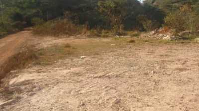 Farm For Sale in Minas Gerais, Brazil