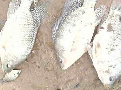 Apartment For Sale in Paracuru, Brazil