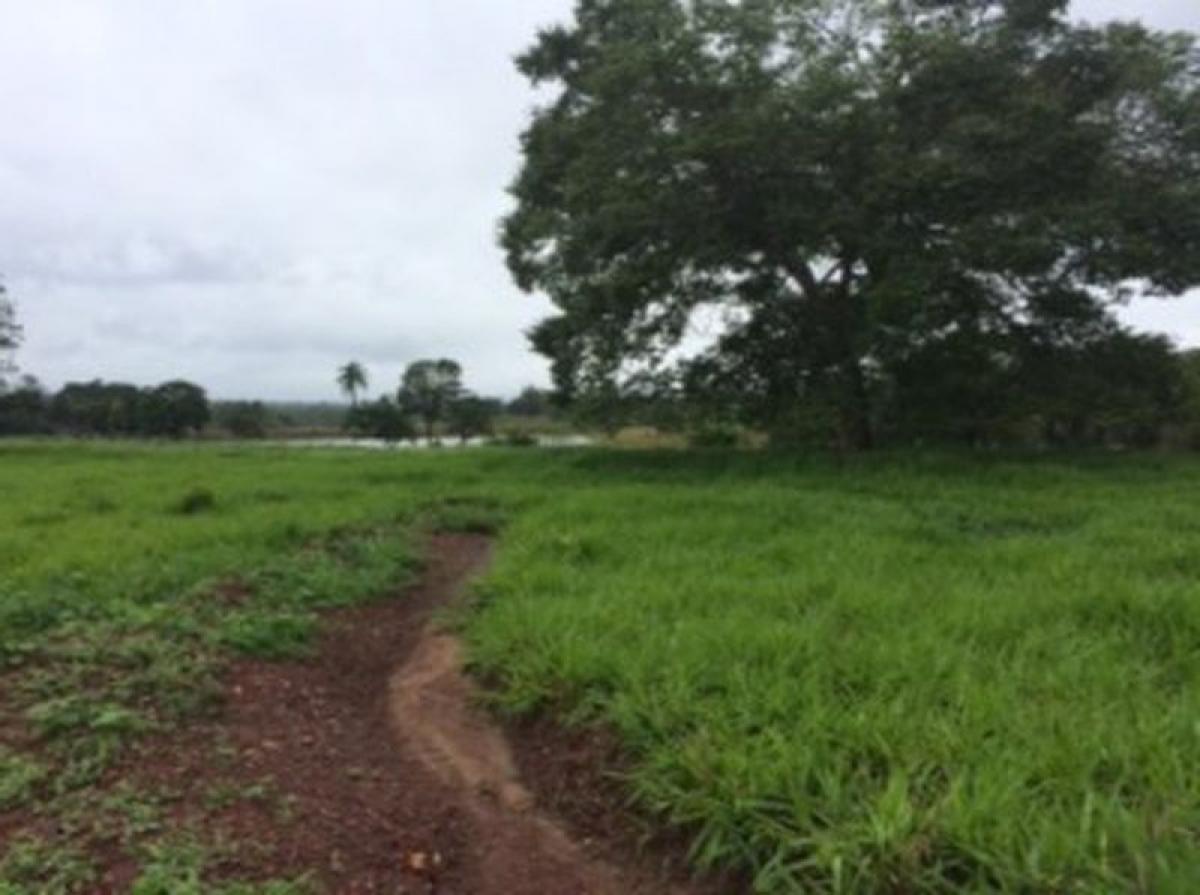 Picture of Apartment For Sale in Vargem Grande Paulista, Sao Paulo, Brazil