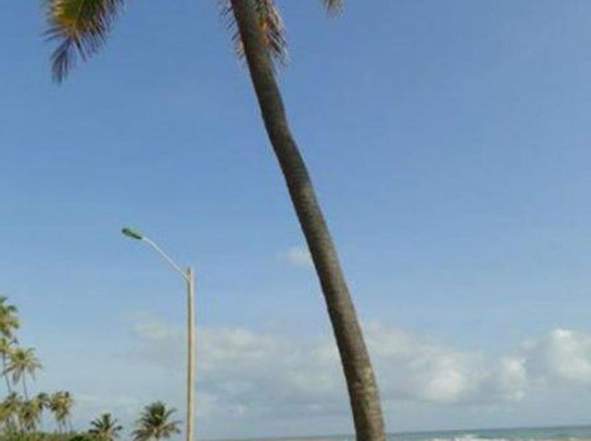 Picture of Apartment For Sale in Mata De Sao Joao, Bahia, Brazil