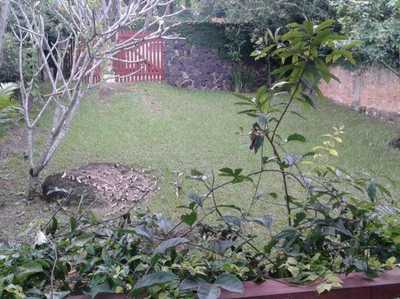 Home For Sale in Ilhabela, Brazil
