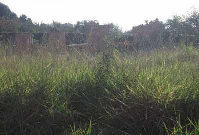 Residential Land For Sale in TrÃªs Marias, Brazil