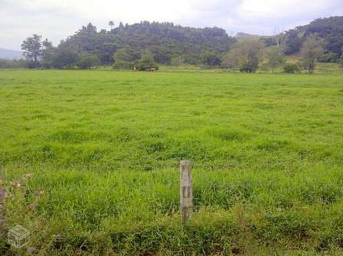 Picture of Residential Land For Sale in Santa Catarina, Santa Catarina, Brazil