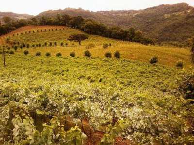 Residential Land For Sale in