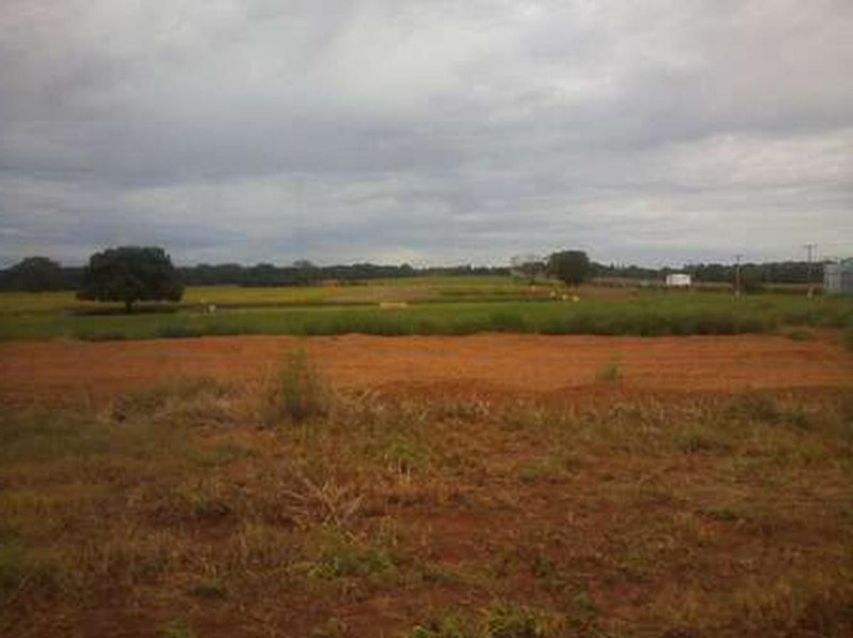 Picture of Residential Land For Sale in Abreulândia, Tocantins, Brazil
