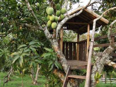 Residential Land For Sale in Monteiro Lobato, Brazil