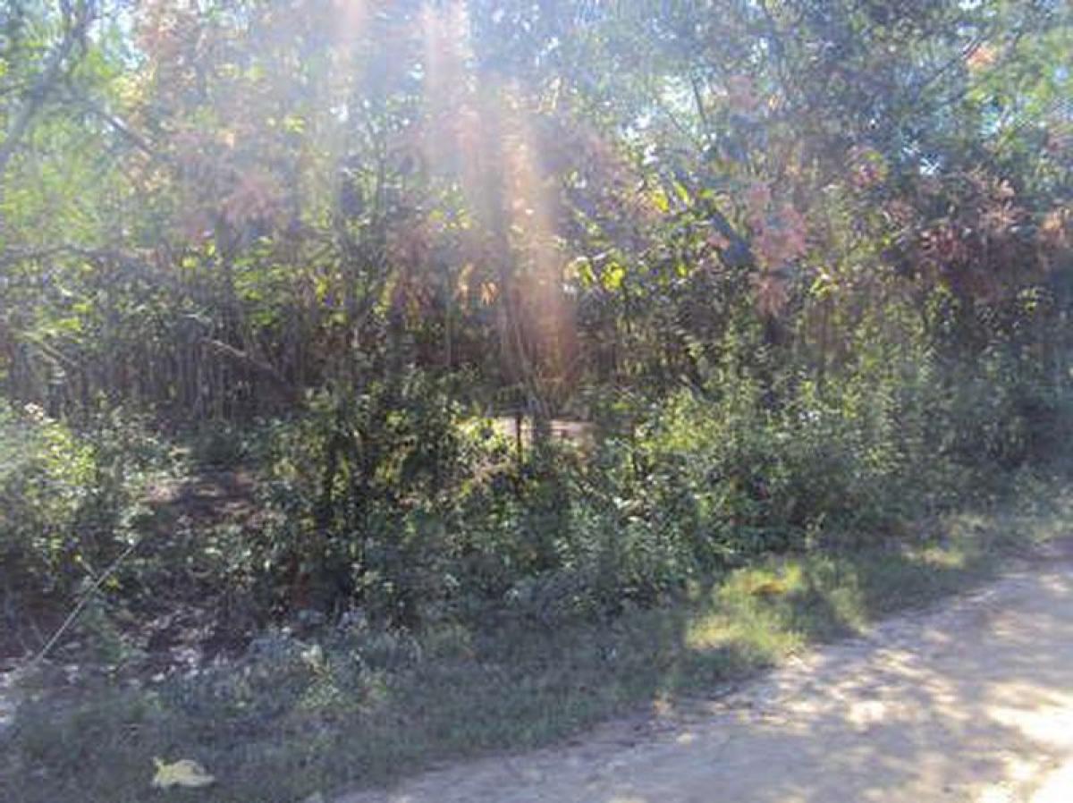 Picture of Residential Land For Sale in Rio De Janeiro, Rio De Janeiro, Brazil