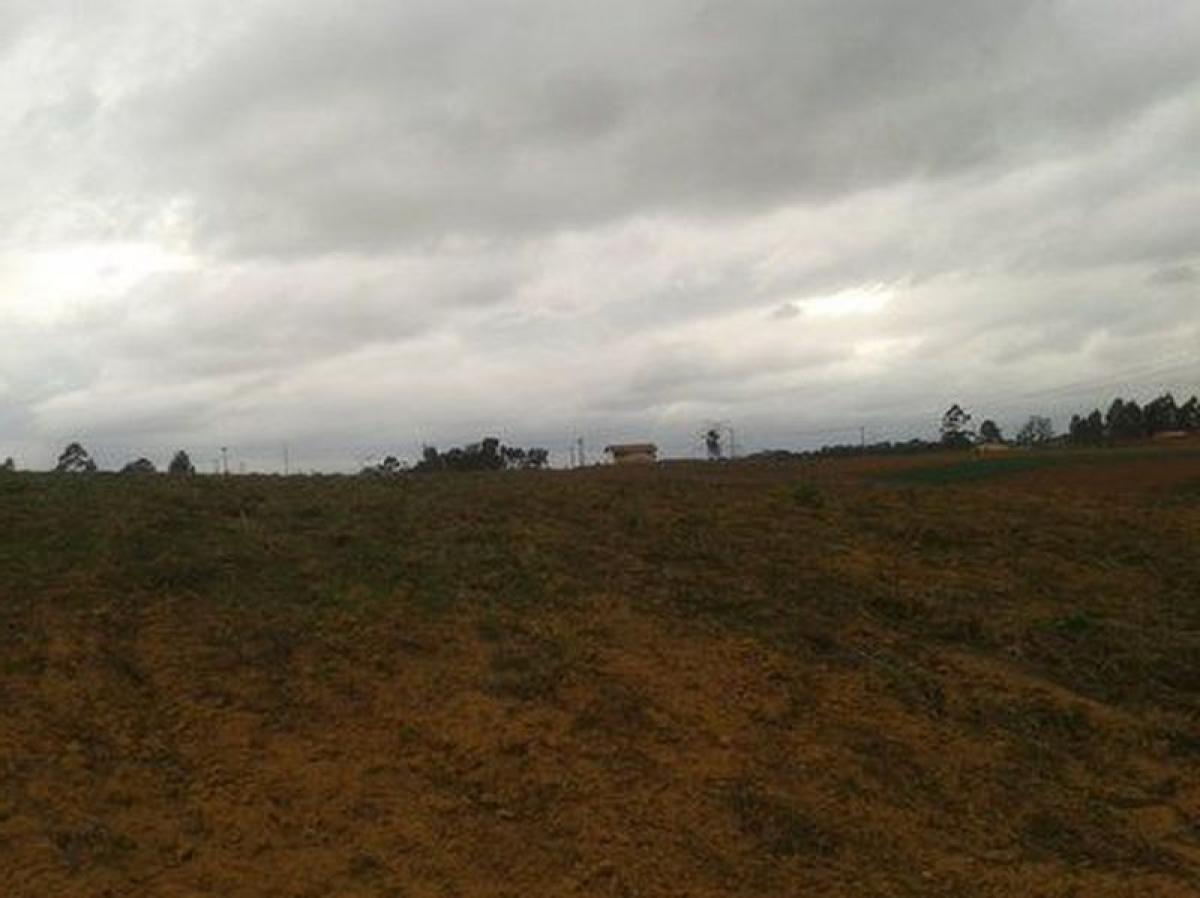 Picture of Residential Land For Sale in Ibiuna, Sao Paulo, Brazil