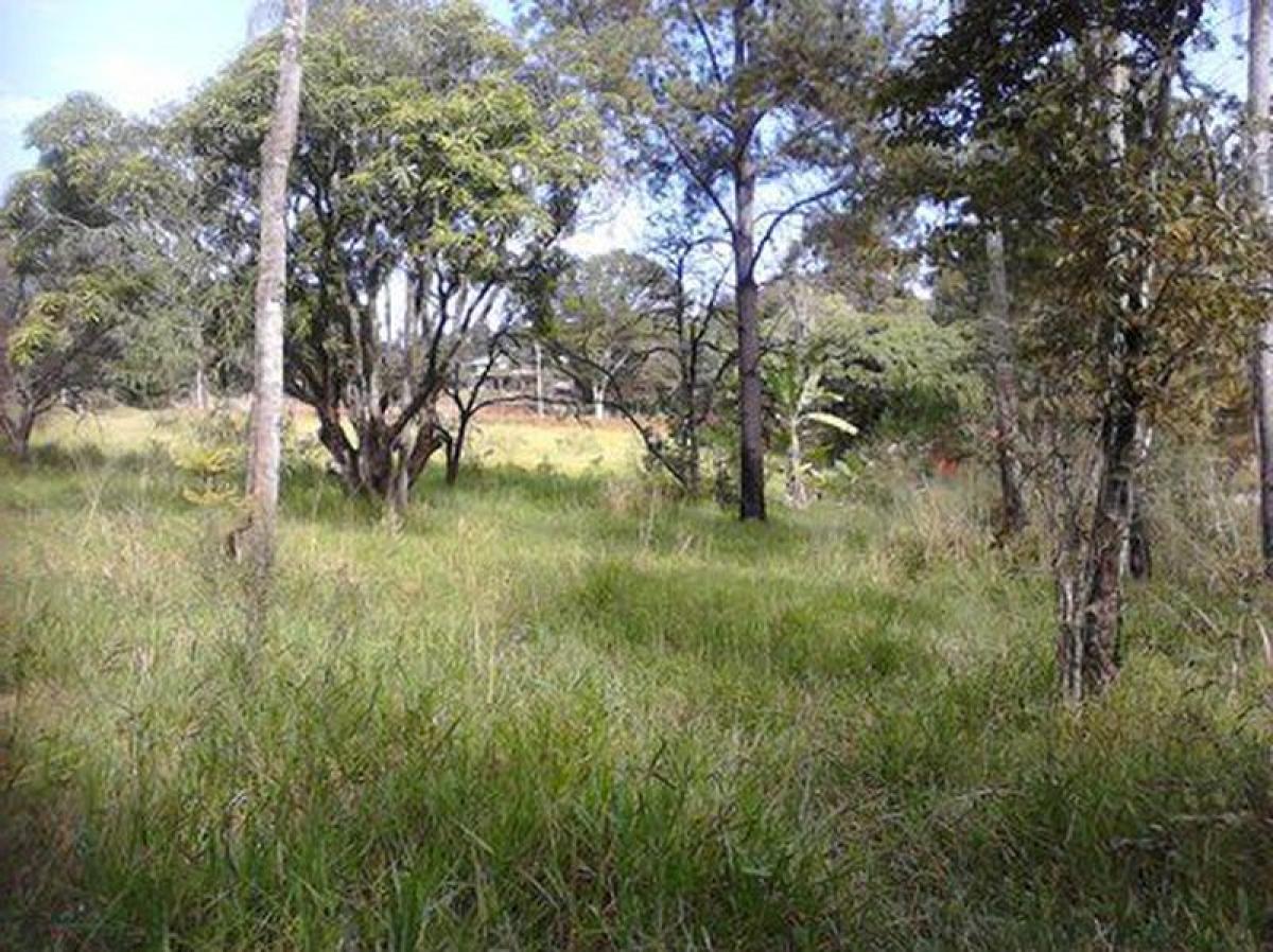 Picture of Residential Land For Sale in Alagoas, Alagoas, Brazil