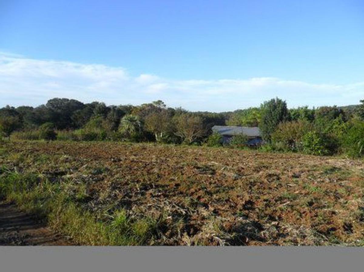 Picture of Residential Land For Sale in Westfalia, Rio Grande do Sul, Brazil
