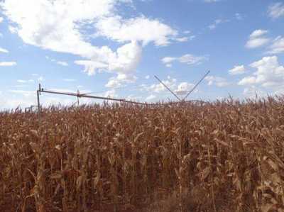 Residential Land For Sale in Abreulândia, Brazil