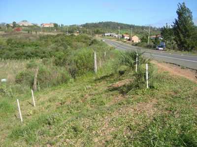 Residential Land For Sale in Rio Grande Do Sul, Brazil